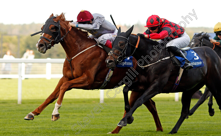 Zwayyan-0003 
 ZWAYYAN (left, Frankie Dettori) beats ONE WORD MORE (right) in The Neptune Investement Management Classified Stakes Ascot 6 Oct 2017 - Pic Steven Cargill / Racingfotos.com