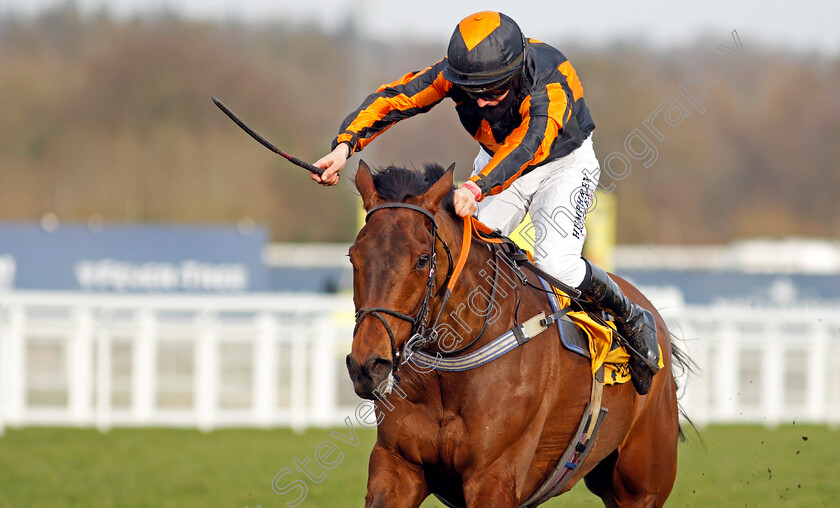 Thibault-0002 
 THIBAULT (Richard Patrick)
Ascot 20 Feb 2021 - Pic Steven Cargill / Racingfotos.com