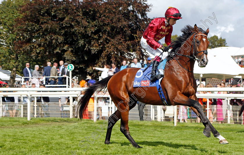 Middle-Earth-0005 
 MIDDLE EARTH (Oisin Murphy) winner of The Sky Bet Melrose Stakes
York 26 Aug 2023 - Pic Steven Cargill / Racingfotos.com