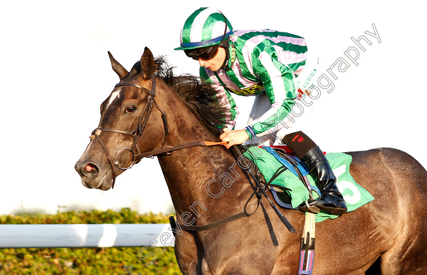 Seraphinite-0008 
 SERAPHINITE (Nicola Currie) wins The 32Red.com British Stallion Studs EBF Fillies Novice Stakes
Kempton 22 May 2019 - Pic Steven Cargill / Racingfotos.com