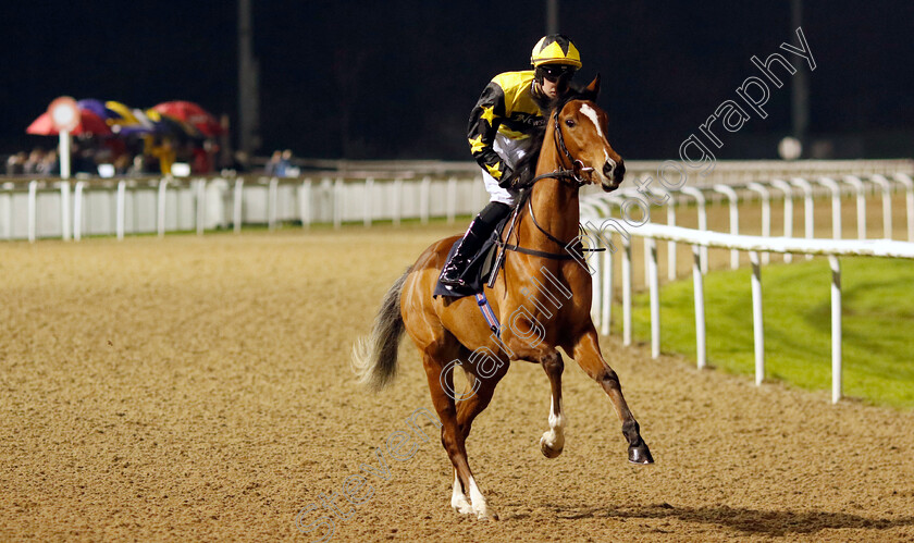 Warm-Glow-0002 
 WARM GLOW (Ross Coakley)
Wolverhampton 20 Dec 2024 - Pic Steven Cargill / Racingfotos.com