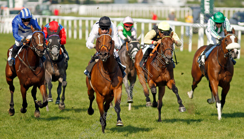 Tiffany-0007 
 TIFFANY (Luke Morris) wins The T. Von Zastrow Stutenpreis (Group 2)
Baden-Baden 31 Aug 2024 - Pic Steven Cargill / Racingfotos.com