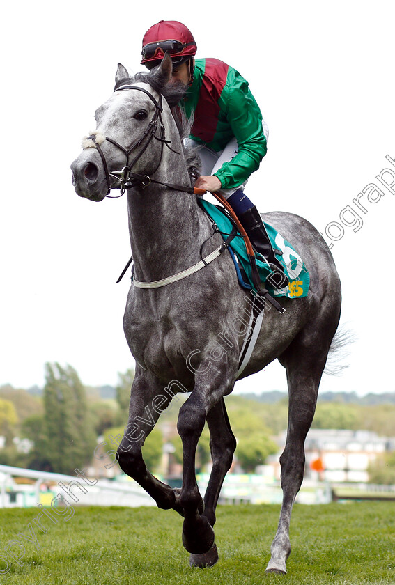 Technician-0001 
 TECHNICIAN (Oisin Murphy)
Sandown 26 Apr 2019 - Pic Steven Cargill / Racingfotos.com