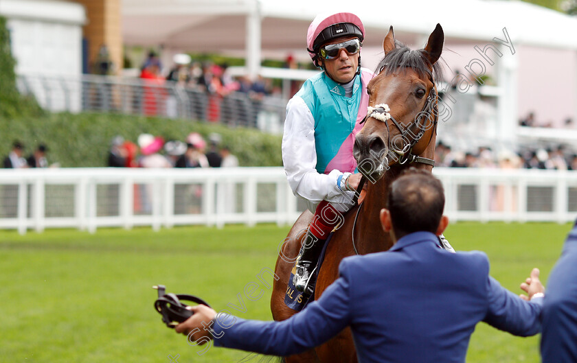 Sangarius-0006 
 SANGARIUS (Frankie Dettori) after The Hampton Court Stakes
Royal Ascot 20 Jun 2019 - Pic Steven Cargill / Racingfotos.com