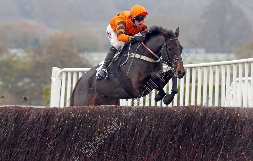 West-Approach-0001 
 WEST APPROACH (Robbie Power) wins The BetVictor Smartcards Handicap Chase
Cheltenham 16 Nov 2019 - Pic Steven Cargill / Racingfotos.com