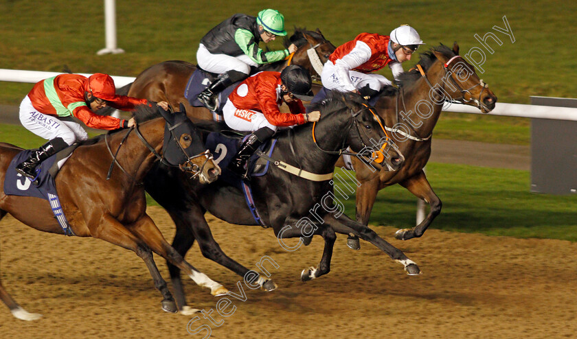 Tilaawah-0003 
 TILAAWAH (centre, Tyler Heard) beats HIGHEST AMBITION (left) and NIGHT NARCISSUS (right) in The Get Your Ladbrokes Daily Odds Boost Nursery
Wolverhampton 24 Nov 2020 - Pic Steven Cargill / Racingfotos.com