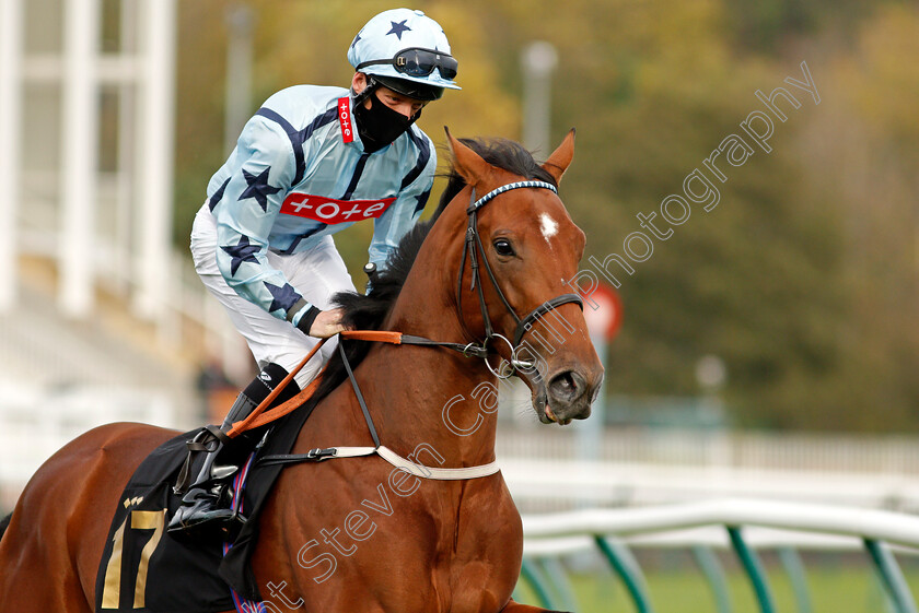 Without-Revenge-0003 
 WITHOUT REVENGE (Thomas Greatrex)
Nottingham 28 Oct 2020 - Pic Steven Cargill / Racingfotos.com