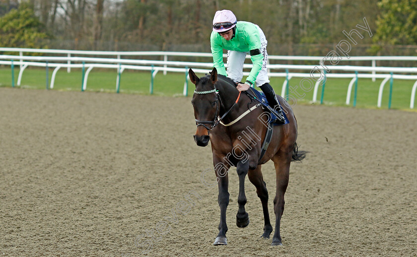 Hurtle-Wallop-0001 
 HURTLE WALLOP (Rossa Ryan)
Lingfield 4 Apr 2024 - Pic Steven Cargill / Racingfotos.com