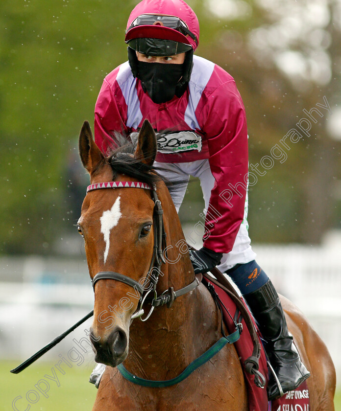 Safe-Voyage-0001 
 SAFE VOYAGE (Jason Hart)
Newbury 15 May 2021 - Pic Steven Cargill / Racingfotos.com