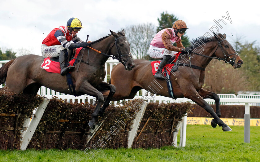 Elle-Est-Beau-and-Fortunefavorsdbold-0001 
 ELLE EST BEAU (right, Tristan Durrell) with FORTUNEFAVORSDBOLD (left, Jack Tudor)
Sandown 9 Dec 2023 - Pic Steven Cargill / Racingfotos.com