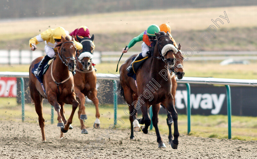 Royal-Birth-0001 
 ROYAL BIRTH (right, Oisin Murphy) beats CORINTHIA KNIGHT (left) in The Betway Casino Handicap
Lingfield 2 Mar 2019 - Pic Steven Cargill / Racingfotos.com