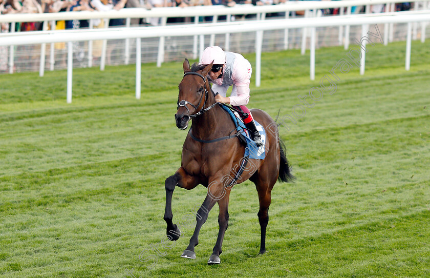 Lah-Ti-Dar-0004 
 LAH TI DAR (Frankie Dettori) wins The British EBF & Sir Henry Cecil Galtres Stakes
York 23 Aug 2018 - Pic Steven Cargill / Racingfotos.com