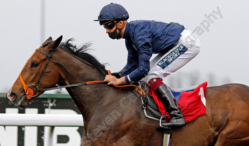 Cuban-Cigar-0006 
 CUBAN CIGAR (Thore Hammer Hansen) wins The Unibet Casino Deposit £10 Get £40 Bonus Handicap Div2
Kempton 31 Mar 2021 - Pic Steven Cargill / Racingfotos.com