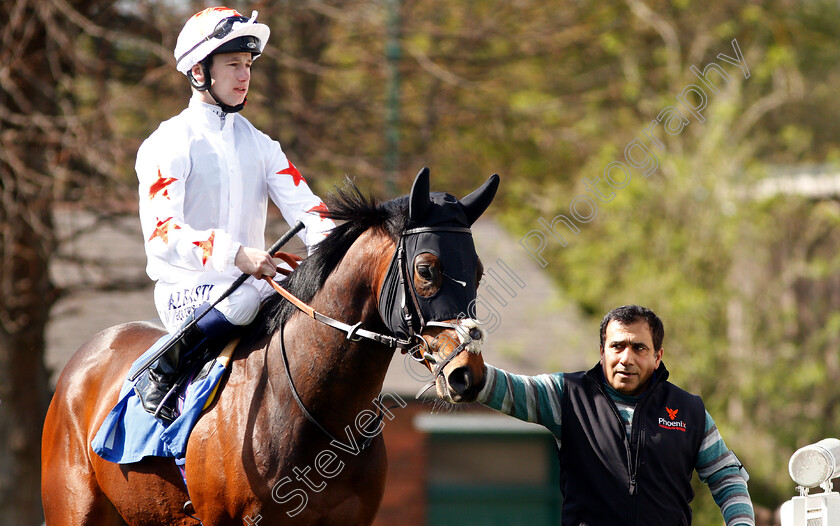 Pocket-Dynamo-0001 
 POCKET DYNAMO (Oisin Murphy)
Nottingham 10 Apr 2019 - Pic Steven Cargill / Racingfotos.com