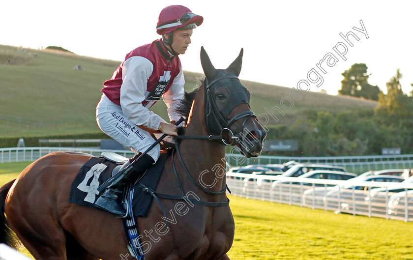 Celtic-Empress-0001 
 CELTIC EMPRESS (Ray Dawson) winner of The White & Brooks Fillies Handicap
Goodwood 26 Aug 2022 - Pic Steven Cargill / Racingfotos.com