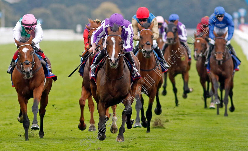 Continuous-0004 
 CONTINUOUS (Ryan Moore) beats ARREST (left) in The Betfred St Leger Stakes
Doncaster 16 Sep 2023 - Pic Steven Cargill / Racingfotos.com