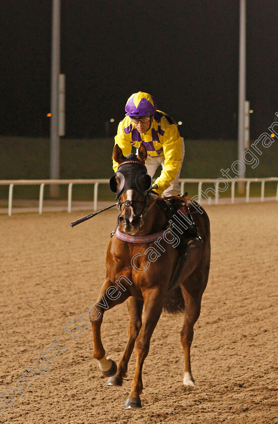 Xian-Express-0005 
 XIAN EXPRESS (Ben Curtis) after The Bet totequadpot At totesport.com Selling Stakes
Chelmsford 11 Jan 2020 - Pic Steven Cargill / Racingfotos.com