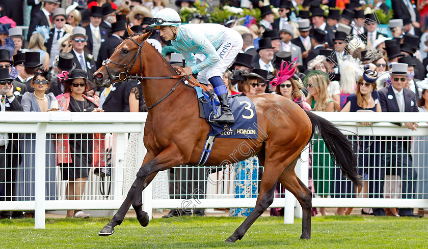 Binadham-0001 
 BINADHAM (Benoit de la Sayette)
Royal Ascot 20 Jun 2024 - Pic Steven Cargill / Racingfotos.com