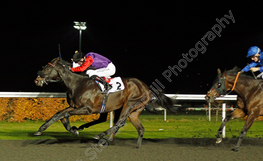 Desert-Flyer-0001 
 DESERT FLYER (Robert Havlin) wins The Unibet Casino Deposit £10 Get £40 Bonus Novice Stakes
Kempton 11 Nov 2020 - Pic Steven Cargill / Racingfotos.com