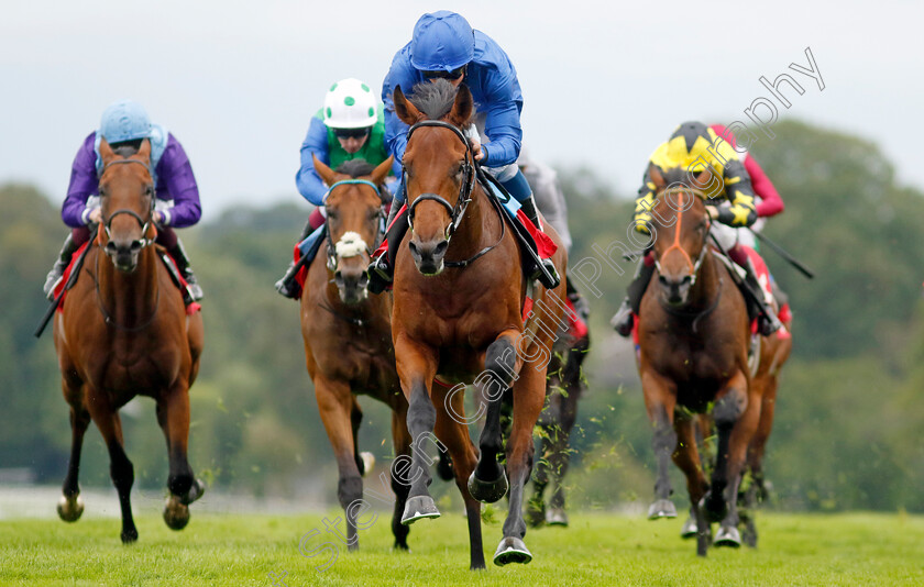 Arabian-Crown-0003 
 ARABIAN CROWN (William Buick) wins The Martin Densham Memorial British EBF Maiden Stakes
Sandown 27 Jul 2023 - Pic Steven Cargill / Racingfotos.com