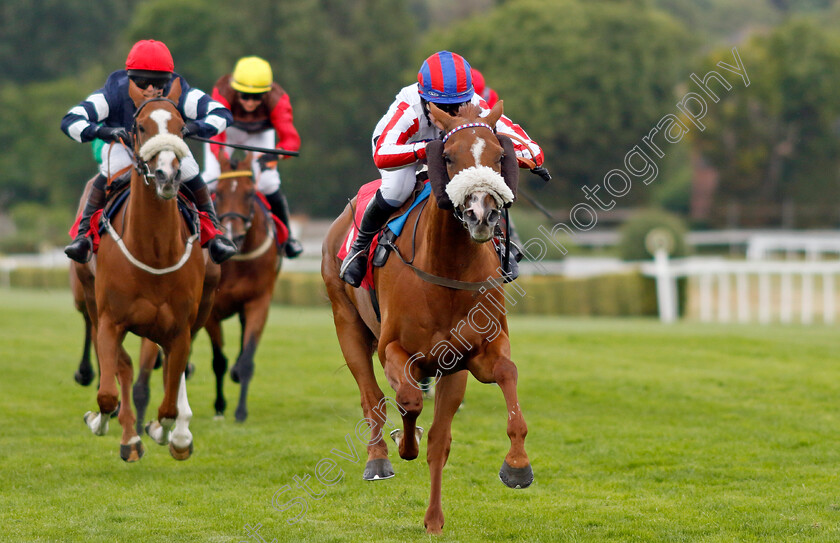 Maysong-0003 
 MAYSONG (Fern O'Brien) wins The Vintage Aquisitions Whisky Chaser Handicap
Sandown 1 Jul 2022 - Pic Steven Cargill / Racingfotos.com