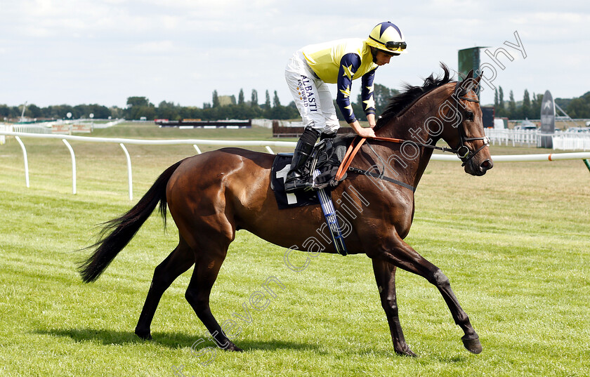 Saroog-0002 
 SAROOG (Ryan Moore)
Newbury 17 Aug 2018 - Pic Steven Cargill / Racingfotos.com