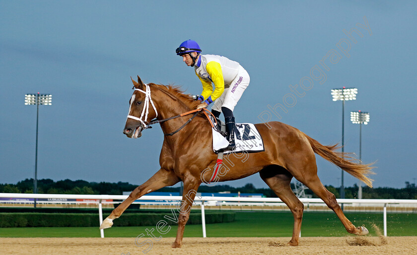 Tapit staleofverve-0001 
 TAPIT'STALEOFVERVE (Pat Dobbs)
Meydan 2 Feb 2024 - Pic Steven Cargill / Racingfotos.com