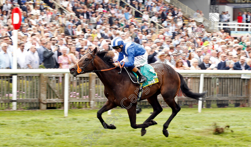 Motakhayyel-0003 
 MOTAKHAYYEL (Chris Hayes) wins The bet365 Mile Handicap
Newmarket 13 Jul 2019 - Pic Steven Cargill / Racingfotos.com