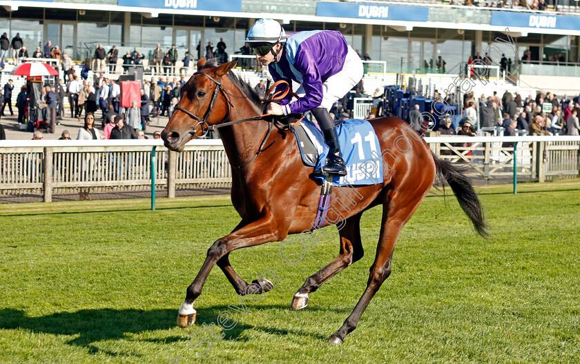 Revelance-0001 
 REVELANCE (Richard Kingscote)
Newmarket 11 Oct 2024 - Pic Steven Cargill / Racingfots.com