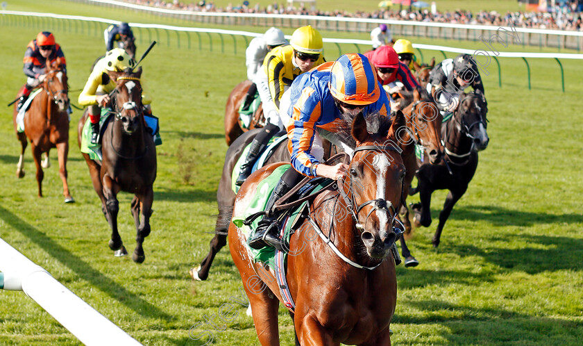 Clemmie-0003 
 CLEMMIE (Ryan Moore) wins The Juddmonte Cheveley Park Stakes Newmarket 30 Sep 2017 - Pic Steven Cargill / Racingfotos.com