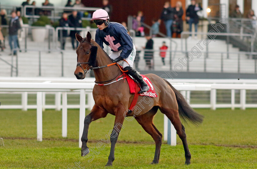 Impero-0001 
 IMPERO (Danny Gilligan)
Ascot 21 Dec 2024 - Pic Steven Cargill / Racingfotos.com