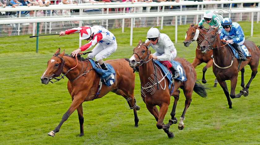 What s-The-Story-0003 
 WHAT'S THE STORY (left, Joe Fanning) beats VALE OF KENT (right) in The Clipper Logistics Handicap
York 22 Aug 2019 - Pic Steven Cargill / Racingfotos.com