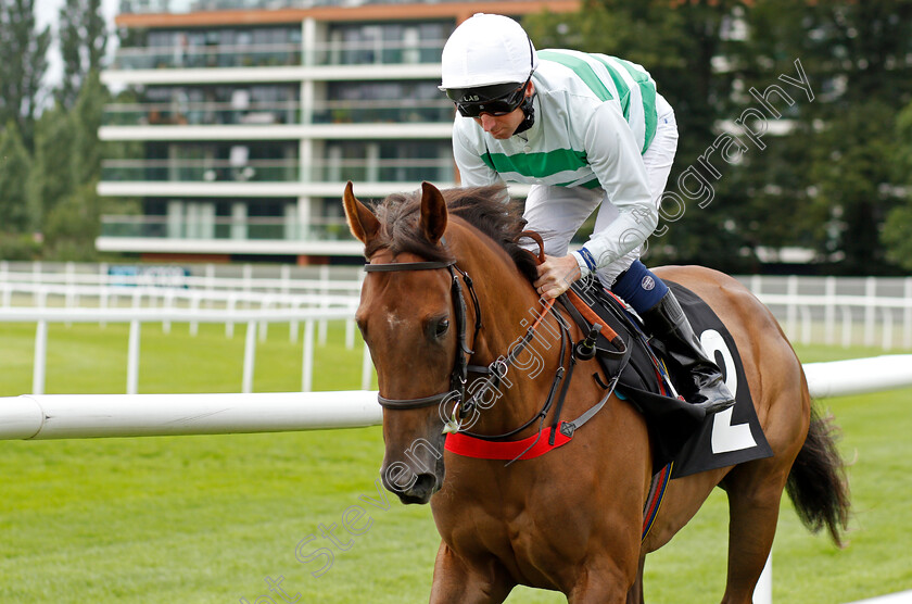 A-La-Francaise-0001 
 A LA FRANCAISE (Martin Dwyer)
Newbury 13 Aug 2021 - Pic Steven Cargill / Racingfotos.com