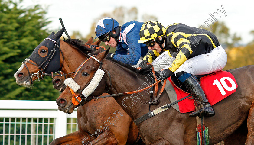 Golan-Fortune-0003 
 GOLAN FORTUNE (nearside, Fergus Gregory) beats CAPELAND (farside) in The ATP Tennis At 188bet Conditional Jockeys Handicap Hurdle Sandown 12 Nov 2017 - Pic Steven Cargill / Racingfotos.com