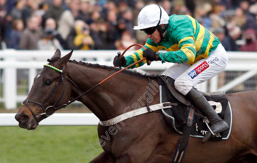 Birchdale-0008 
 BIRCHDALE (Barry Geraghty) wins The Ballymore Novices Hurdle
Cheltenham 26 Jan 2019 - Pic Steven Cargill / Racingfotos.com