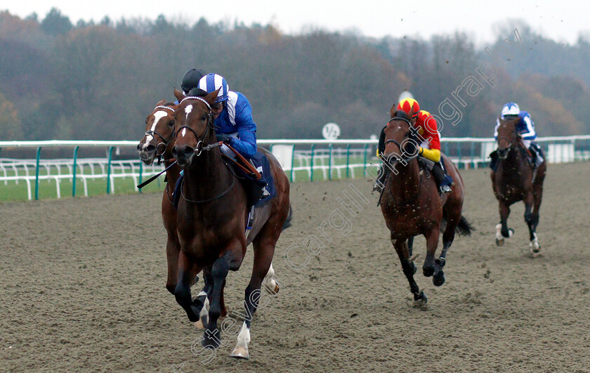 Dawaam-0007 
 DAWAAM (Jim Crowley) wins The Ladbrokes Bet £5 Get £20 EBF Novice Stakes
Lingfield 20 Nov 2018 - Pic Steven Cargill / Racingfotos.com