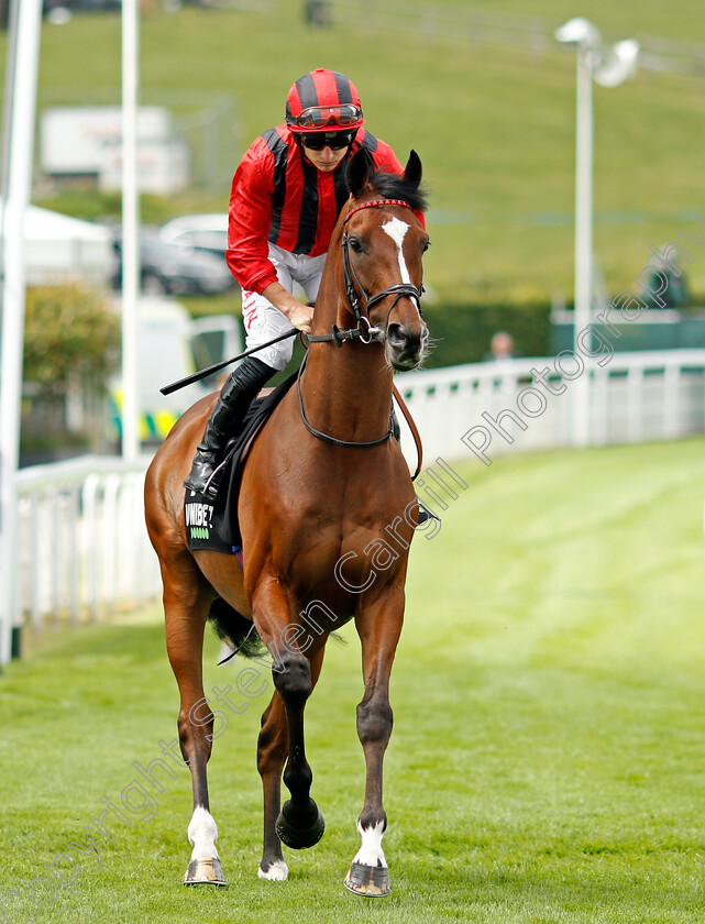 Caradoc-0001 
 CARADOC (Tom Marquand)
Goodwood 27 Jul 2021 - Pic Steven Cargill / Racingfotos.com