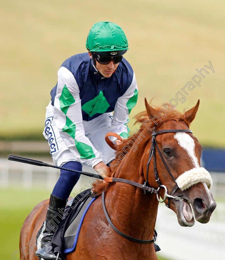 Rule-Of-Thumb-0001 
 RULE OF THUMB (David Probert)
Goodwood 27 Aug 2022 - Pic Steven Cargill / Racingfotos.com