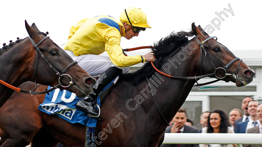 Young-Rascal-0010 
 YOUNG RASCAL (James Doyle) wins The Centennial Celebration MBNA Chester Vase Stakes Chester 9 May 2018 - Pic Steven Cargill / Racingfotos.com