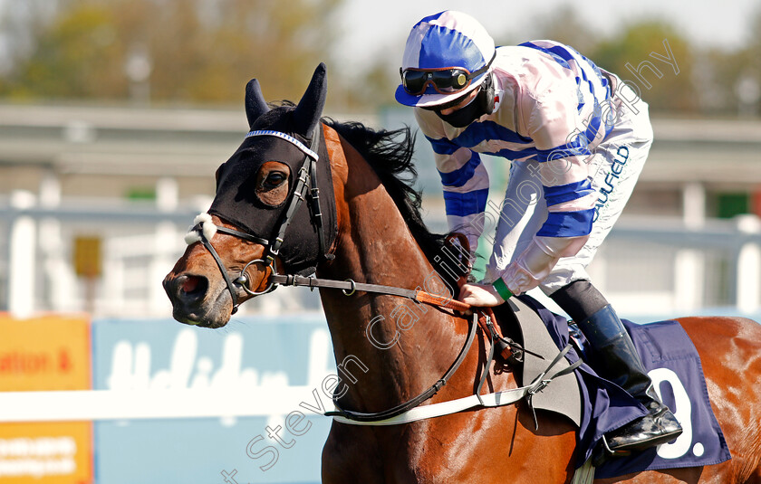 Pour-Joie-0002 
 POUR JOIE (Darragh Keenan)
Yarmouth 19 May 2021 - Pic Steven Cargill / Racingfotos.com