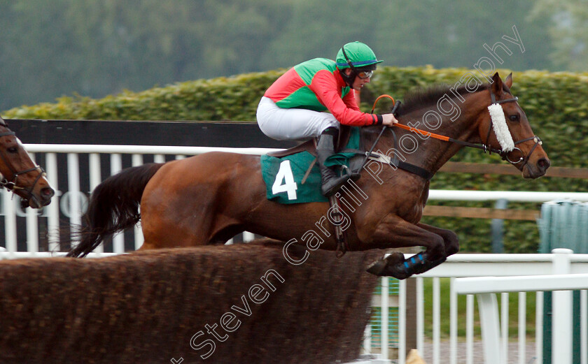 Jack-Snipe-0001 
 JACK SNIPE (Shane Quinlan)
Cheltenham 3 May 2019 - Pic Steven Cargill / Racingfotos.com