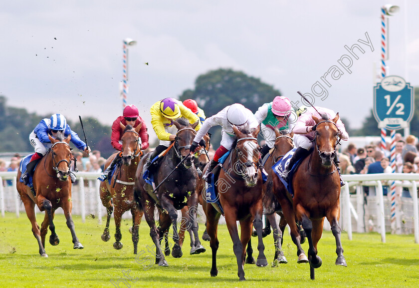 Warm-Heart-0007 
 WARM HEART (right, James Doyle) beats FREE WIND (centre) in The Pertemps Network Yorkshire Oaks
York 24 Aug 2023 - Pic Steven Cargill / Racingfotos.com