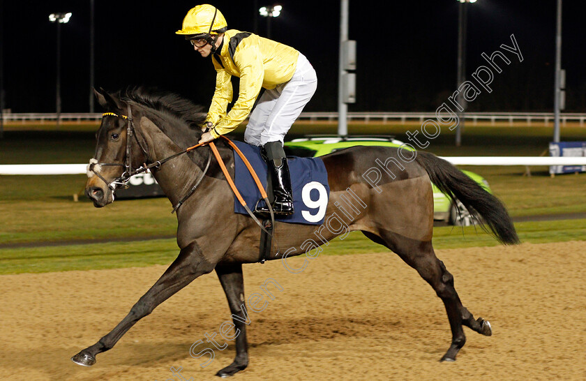 Rideson-0001 
 RIDESON (Charlie Bennett)
Wolverhampton 20 Jan 2020 - Pic Steven Cargill / Racingfotos.com