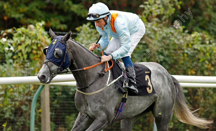 Fairmac-0001 
 FAIRMAC (William Buick)
Nottingham 13 Oct 2021 - Pic Steven Cargill / Racingfotos.com