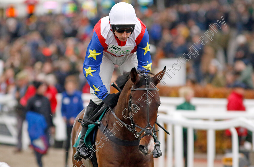 Ace-Of-Spades-0007 
 ACE OF SPADES (Harry Skelton) winner of The Sue Ryder Leckhampton Court Hospice Maiden Hurdle
Cheltenham 17 Nov 2024 - Pic Steven Cargill