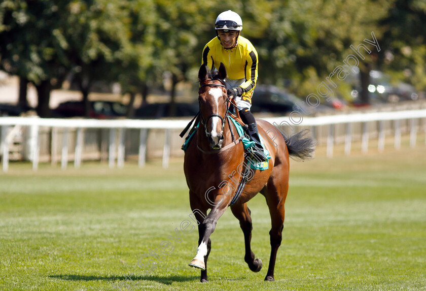 Pretty-Pollyanna-0001 
 PRETTY POLLYANNA (Silvestre De Sousa) before winning The Duchess Of Cambridge Stakes
Newmarket 13 Jul 2018 - Pic Steven Cargill / Racingfotos.com