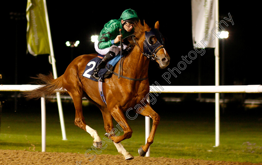 Petit-Palais-0002 
 PETIT PALAIS (Robert Havlin) wins The Hellermanntyton Cable Installation Median Auction Maiden Stakes
Wolverhampton 5 Sep 2018 - Pic Steven Cargill / Racingfotos.com