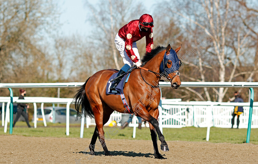 French-Minstrel-0001 
 FRENCH MINSTREL (Callum Shepherd) winner of The Betway Casino Handicap
Lingfield 26 Feb 2021 - Pic Steven Cargill / Racingfotos.com