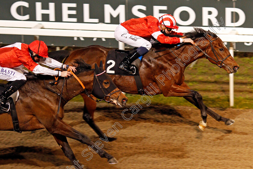 La-Tihaty-0012 
 LA TIHATY (Cameron Noble) beats ROGUE FORCE (left) in The Support The Injured Jockeys Fund Novice Stakes
Chelmsford 22 Jan 2021 - Pic Steven Cargill / Racingfotos.com