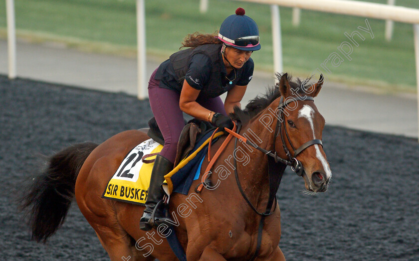 Sir-Busker-0001 
 SIR BUSKER training for the Dubai Turf
Meydan, Dubai, 22 Mar 2022 - Pic Steven Cargill / Racingfotos.com